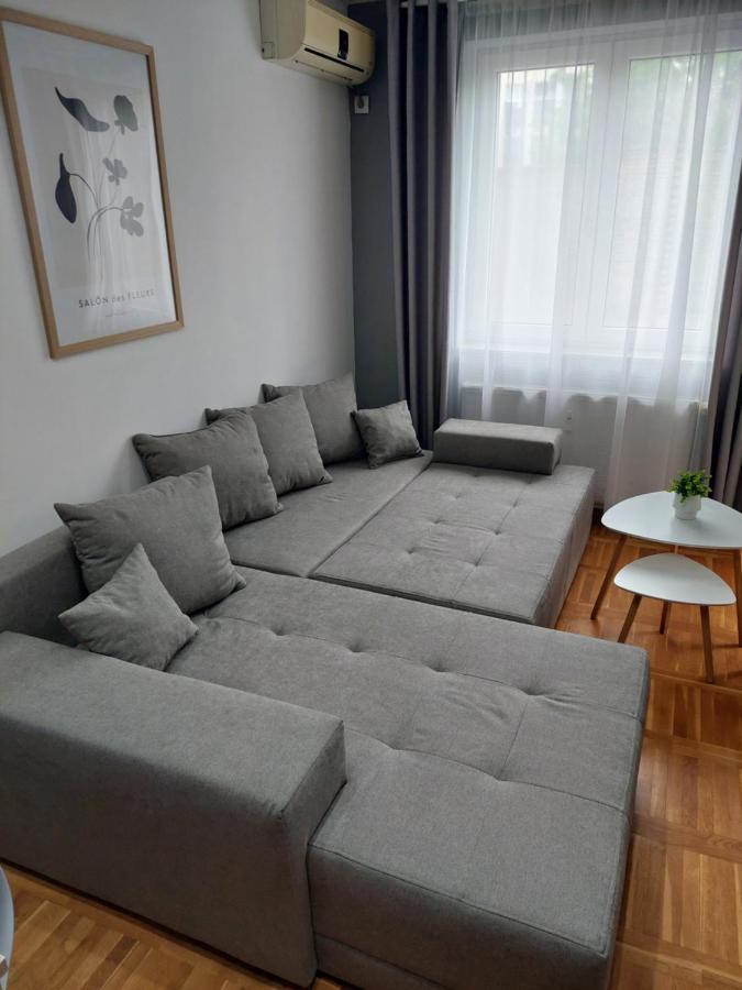 Smiley - Subotica Centar Apartment Bagian luar foto