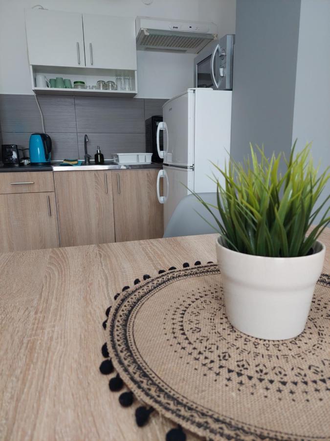 Smiley - Subotica Centar Apartment Bagian luar foto